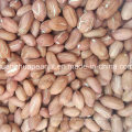Hot Sale Jumbo Peanut Kernels From China